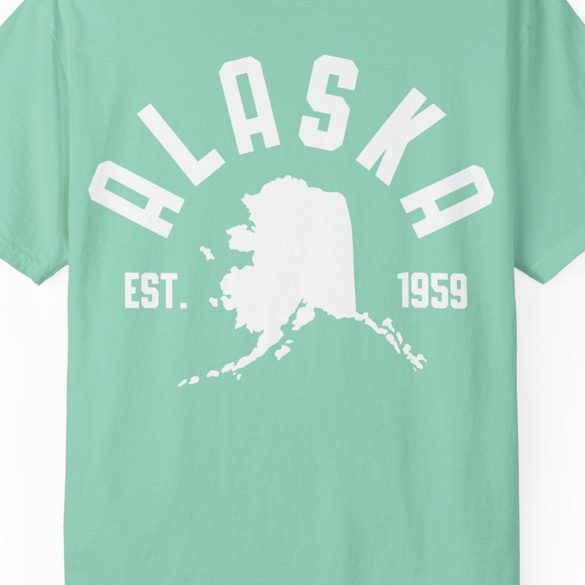 Vintage Alaska State Outline Est 1959 Retro Collegiate Shirt — Comfort Comfort Colors T-Shirt – Island Reef – Alaska Cruise Shirts Close Up
