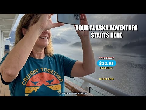 Retro Alaska Cruise Shirt - Mountains Birds Distressed Sunset Tee — T-Shirt - Video Demo
