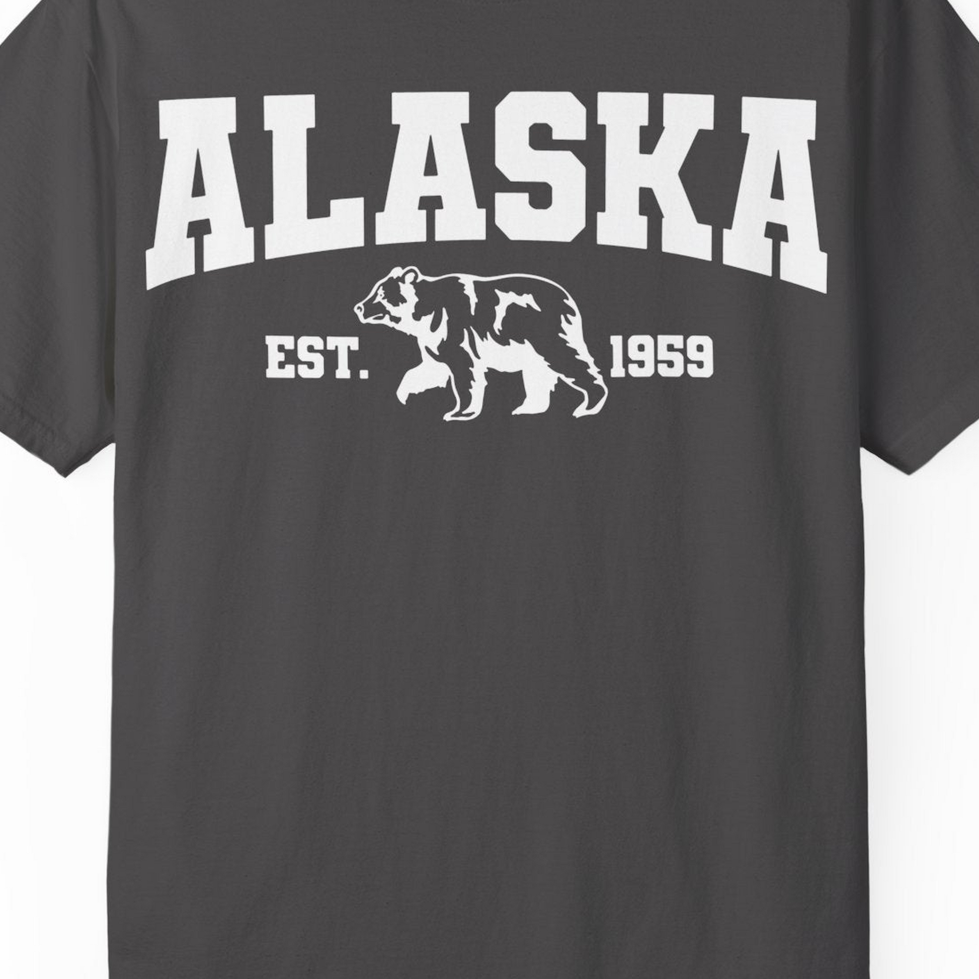 Vintage Alaska Bear Shirt T-Shirt – Graphite – Alaska Cruise Shirts Close Up
